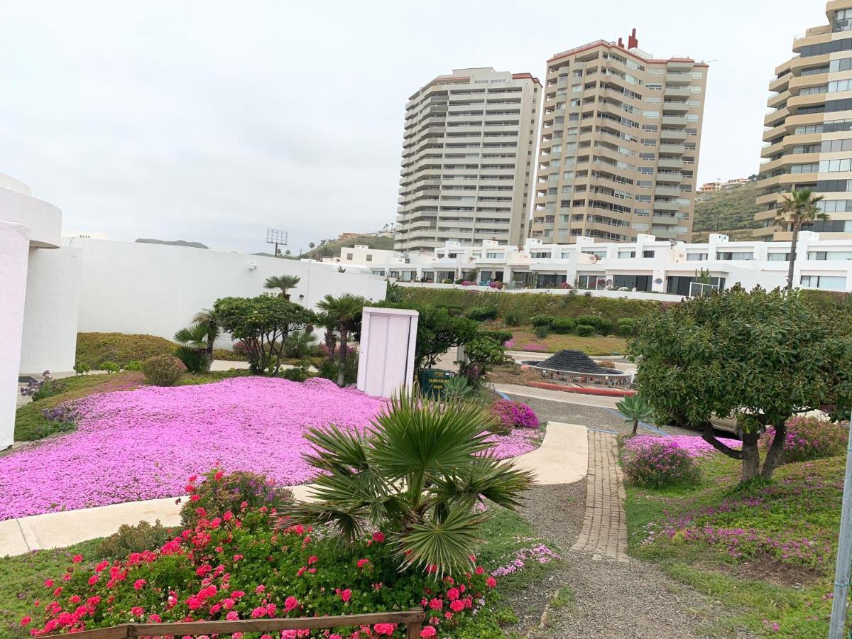 Beachfront Condo Close Puerto Nuevo, Papas, And Valle De Guadalupe Rosarito Exterior foto